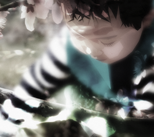 小黑ddos压力测试平台